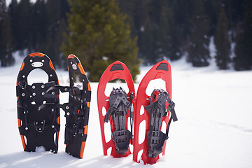 Image showing winter snowshoes