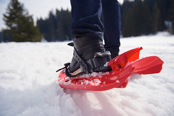 Image showing couple having fun and walking in snow shoes