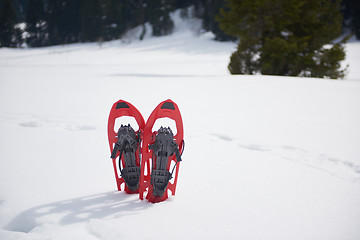 Image showing winter snowshoes