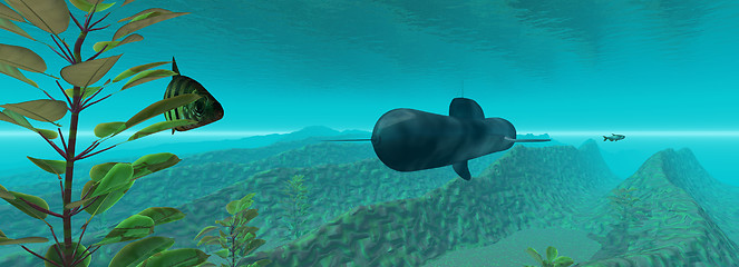 Image showing Underwater