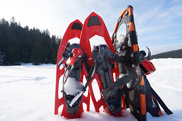 Image showing winter snowshoes