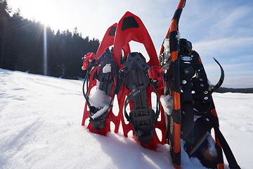 Image showing winter snowshoes