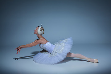 Image showing Portrait of the ballerina in ballet tatu on blue background