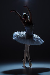 Image showing Portrait of the ballerina in ballet tatu on dack background