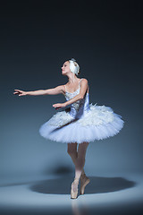 Image showing Portrait of the ballerina in ballet tatu on blue background