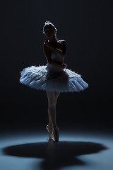 Image showing Portrait of the ballerina in ballet tatu on dack background