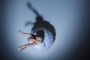 Image showing Portrait of the ballerina in ballet tatu on blue background