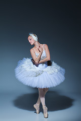 Image showing Portrait of the ballerina in ballet tatu on blue background