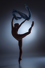 Image showing The beautiful ballerina dancing with blue veil