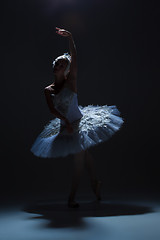 Image showing Portrait of the ballerina in ballet tatu on dack background