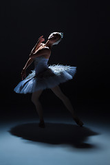 Image showing Portrait of the ballerina in ballet tatu on dack background