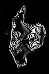 Image showing The nude woman with black and white zebra stripes