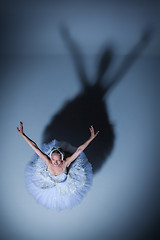 Image showing Portrait of the ballerina in ballet tatu on blue background