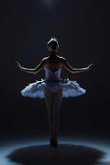 Image showing Portrait of the ballerina in ballet tatu on dack background
