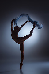 Image showing The beautiful ballerina dancing with blue veil