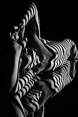 Image showing The nude woman with black and white zebra stripes