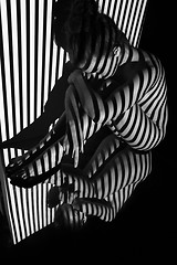 Image showing The nude woman with black and white zebra stripes