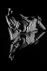 Image showing The nude woman with black and white zebra stripes