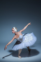 Image showing Portrait of the ballerina in ballet tatu on blue background