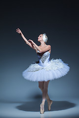 Image showing Portrait of the ballerina in ballet tatu on blue background