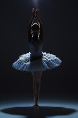 Image showing Portrait of the ballerina in ballet tatu on dack background