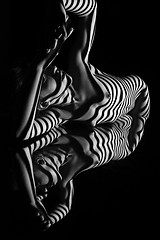 Image showing The nude woman with black and white zebra stripes