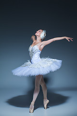 Image showing Portrait of the ballerina in ballet tatu on blue background