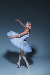 Image showing Portrait of the ballerina in ballet tatu on blue background