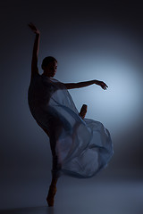 Image showing The beautiful ballerina dancing with blue veil