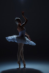 Image showing Portrait of the ballerina in ballet tatu on dack background