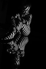 Image showing The nude woman with black and white zebra stripes