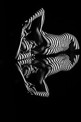 Image showing The nude woman with black and white zebra stripes