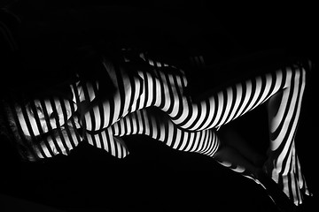 Image showing The nude woman with black and white zebra stripes