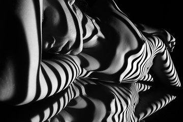 Image showing The nude woman with black and white zebra stripes