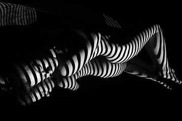 Image showing The nude woman with black and white zebra stripes