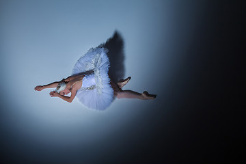 Image showing Portrait of the ballerina in ballet tatu on blue background