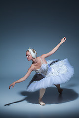 Image showing Portrait of the ballerina in ballet tatu on blue background