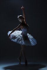 Image showing Portrait of the ballerina in ballet tatu on dack background