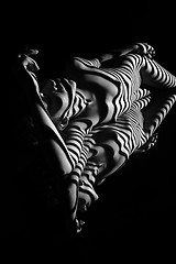 Image showing The nude woman with black and white zebra stripes