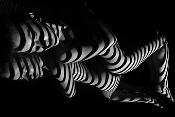 Image showing The nude woman with black and white zebra stripes