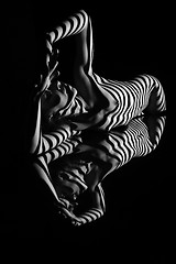 Image showing The nude woman with black and white zebra stripes