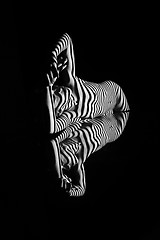 Image showing The nude woman with black and white zebra stripes