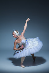 Image showing Portrait of the ballerina in ballet tatu on blue background