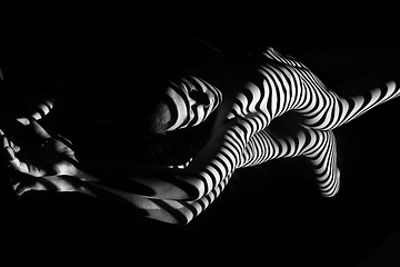 Image showing The nude woman with black and white zebra stripes