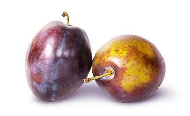 Image showing Supine and standing ripe violet plum