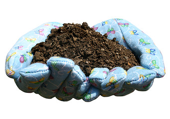 Image showing Good Soil