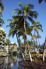 Image showing Tropical resort