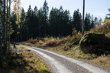 Image showing Fall at the gravel road