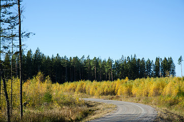 Image showing Colorful gravel road curve