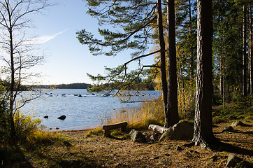 Image showing Tranquil view at a blue lake with a bench by fall